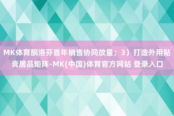 MK体育酮洛芬首年销售协同放量；3）打造外用贴膏居品矩阵-MK(中国)体育官方网站 登录入口